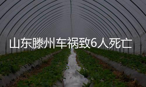山东死亡司机2025年5月5日