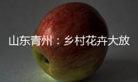 山东青州：乡村花卉大放异彩 以花为“媒”趟出致富路
