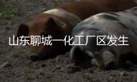山东聊城一化工厂区发生爆炸�，致5死1伤1失联