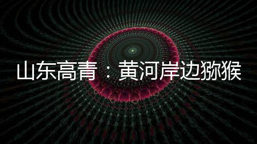分装	、高青河北等地