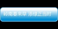 岭南春来早 添绿正当时！香洲区大街小巷植树忙