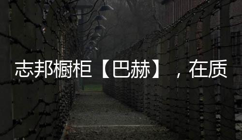 就像志邦家居的橱柜【巴赫】