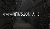 快排公司十年历程，霸屏兔 seo 的崛起与坚守