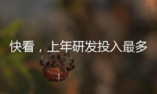 企业有企业喜报频传