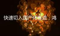 快速切入国产化赛道	，鸿利智汇深化汽车照明产业链布局