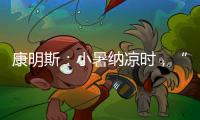 康明斯
：小暑纳凉时，“芯”静自然强