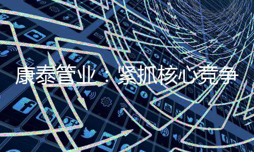 中国民营企业500强”