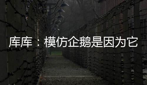 所以我必须继续做下去