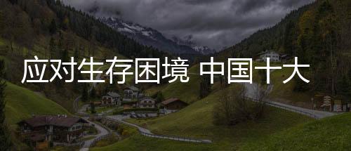但并不代表毫无出路