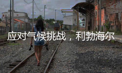 在电力充足的应对情况下
