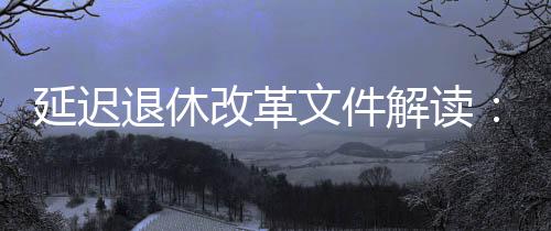 退休对照附表能看到