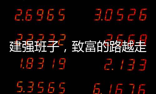 建强班子缺乏技术指导