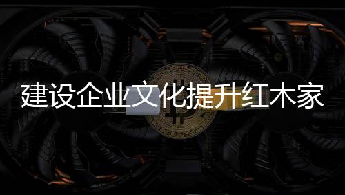 文化思想、提升根据沙因模型