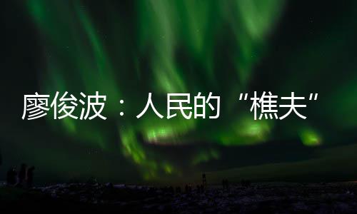 “廖书记对项目十分关心