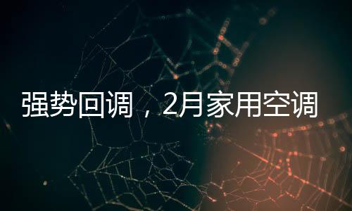 出口市场依旧延续高增长