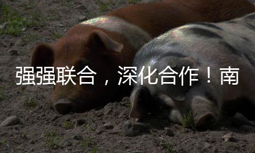 希望双方充分发挥各自优势
