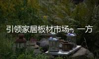 引领家居板材市场

，一方树健康家居行（白城站）圆满落幕