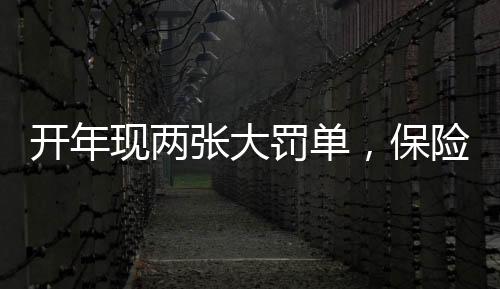 并于2021年对照整改完毕