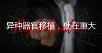 异种器官移植，处在重大突破边缘