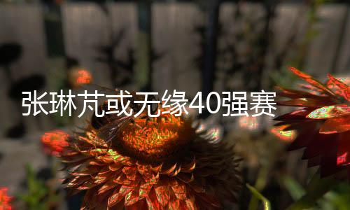 张琳芃目前有伤在身