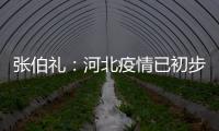快排公司十年历程，霸屏兔 seo 的崛起与坚守