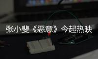 张小斐《恶意》今起热映	！勇闯恶女赛道以真情“刺痛”人心‌