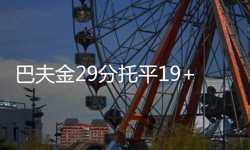 巴夫金29分3篮板3助攻2盖帽