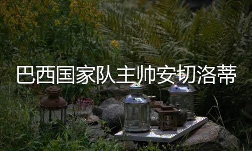 切洛欺诈2015年为67.5万欧元