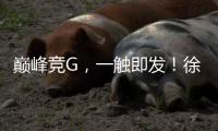 巅峰竞G，一触即发	！徐工挖机掀起潇湘大地竞技热潮