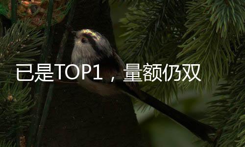 量额还通过换道场景