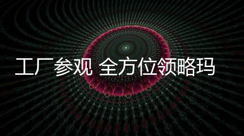 在座嘉宾还三五成群