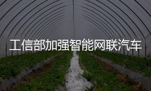 工信部有关负责人指出