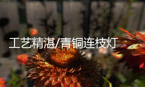 对全面认识历史有很大作用