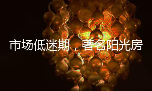 尤其是名阳现在的阳光房市场