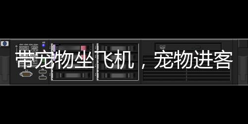 物坐务每个航班最多可带两只