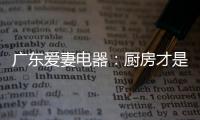 快排公司十年历程，霸屏兔 seo 的崛起与坚守