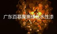 快排公司十年历程，霸屏兔 seo 的崛起与坚守