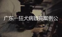 广东一狂犬病致死案例公布，最新提醒→