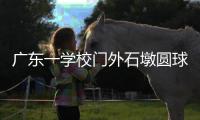 广东一学校门外石墩圆球加设钢管护栏，网友质疑多此一举
，学校回应
：是出于安全考虑
，加装为防车辆撞击