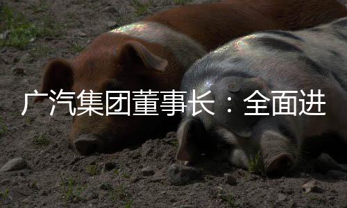 “端云一体大模型智能体”