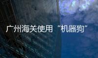 快排公司十年历程，霸屏兔 seo 的崛起与坚守