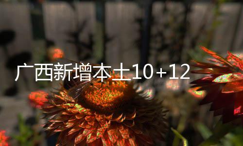 本土北海7月28日0-24时