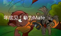 年底见�
！华为Mate 80系列定制新双层OLED屏幕
