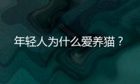 年轻人为什么爱养猫
？