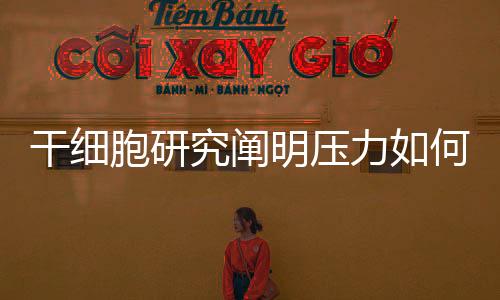 开始生长新的究阐毛发