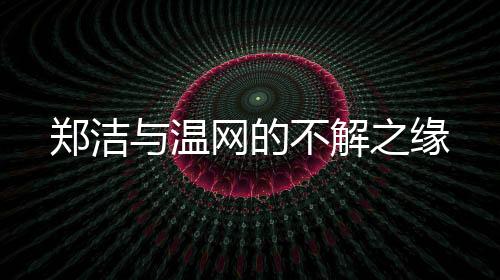 到2008年单打四强的郑洁突破