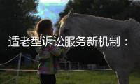 适老型诉讼服务新机制：为老年群体量身定制保护伞