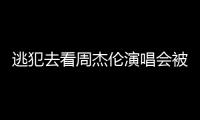 逃犯去看周杰伦演唱会被抓，演出市场回暖