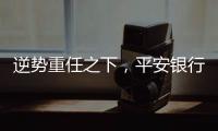 逆势重任之下�，平安银行大变阵，业绩能否再提振	？｜透视金融业年报①