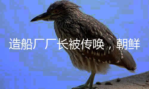 造船调查组专家认定